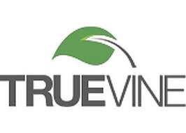 Truevine Web Design